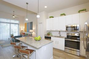 Davie apartment for rent - a kitchen and living room with a marble counter top