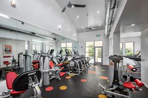 Hollywood apartment for rent - Apartments in Hollywood, CA - Fitness Center with Equipment  Sutton