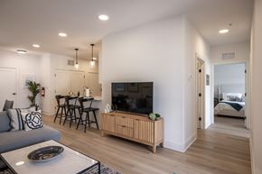 Somerville apartment for rent - A modern living room with a grey sofa, a wooden cabinet, and a television.
