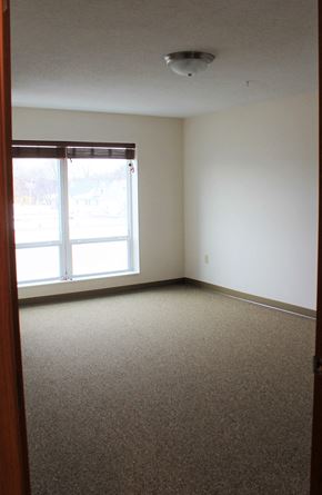 St Paul apartment for rent - A room with a carpeted floor and a window with blinds.