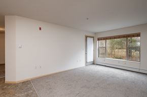 White Bear Lake apartment for rent - Living room  with a window and a door.