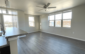 Madison townhouse for rent - The Ace - East-Side Madison affordable living community with indoor and outdoor amenities. Managed by Wisconsin Management Company