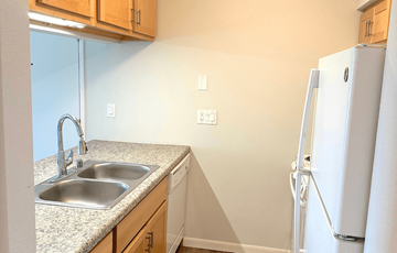 New Glarus apartment for rent - A kitchen with a sink and a refrigerator.