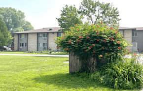 Menasha apartment for rent - a large bush with red flowers in front of an apartment complex