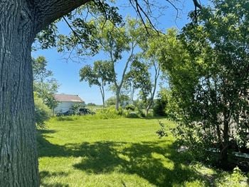 Green and flowered areas