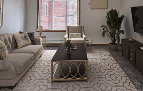 Rothschild apartment for rent - A living room with a grey couch, a coffee table, and a television.