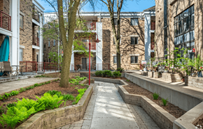 Madison apartment for rent - A courtyard with a tree and a bench.