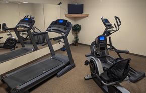 Greenfield apartment for rent - two treadmills and a treadmill in a gym