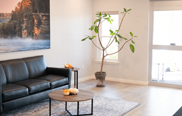 Wisconsin Dells apartment for rent - A living room with a black leather sofa, a small table with a plant on it, and a large landscape painting on the wall.