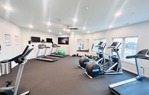 Wisconsin Dells apartment for rent - the gym is equipped with state of the art equipment including cardio machines and weights