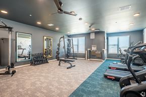 Madison apartment for rent - A spacious gym with treadmills, weights, and exercise equipment.