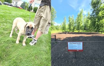 Dog park