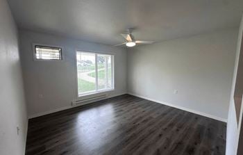 Ceiling fan