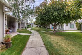 Warden apartment for rent - A tree-lined pathway leads through a grassy area between two rows of houses.