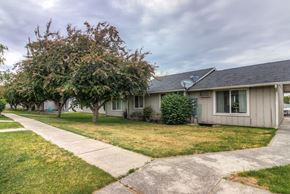 Warden apartment for rent - A house with a tree in front of it.