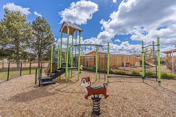 Redmond apartment for rent - a playground with a monkey statue and a swing set
