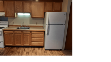 Wallowa apartment for rent - a kitchen with a refrigerator and a sink