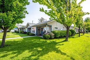Athena apartment for rent - a row of houses with lawns and trees
