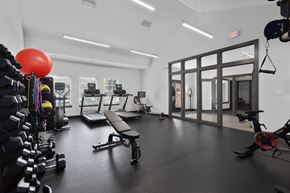 Arlington Heights apartment for rent - a gym with treadmills and other exercise equipment in a building with glass doors