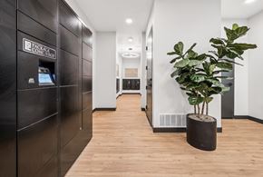 Phoenix apartment for rent - A plant in a black pot sits on a wooden floor in a modern office space.