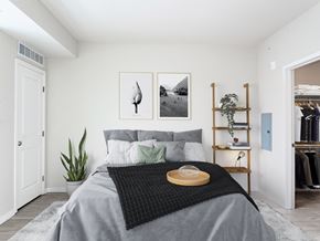 Minneapolis apartment for rent - bed