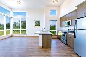 Bellingham apartment for rent - a kitchen with a large window and a sink and a refrigerator