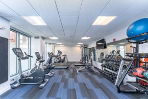 South Boston apartment for rent - 50 WB's gym with cardio equipment and weights in a building with windows