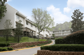 Homewood apartment for rent - A residential area with houses and a curved road.