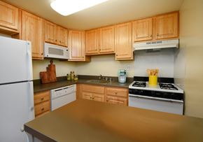 Baltimore apartment for rent - Bright kitchen with plenty of cabinets at Winston Apartments, Baltimore, 21239