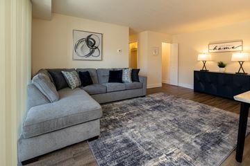 Owings Mills apartment for rent - A living room with a grey couch and a rug.