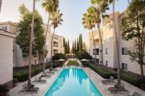 San Diego apartment for rent - A swimming pool surrounded by palm trees and lounge chairs  at Valentia Apartments in La Jolla.