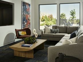 Englewood apartment for rent - A TV lounge amenity for residents with plush seating and large windows at Apex Meridian South Apartments in Englewood.