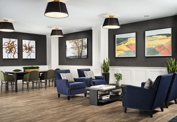 Highlands Ranch apartment for rent - A living room with a blue sofa and a coffee table.