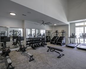 Aledo apartment for rent - a gym with weights and cardio equipment in a building with windows