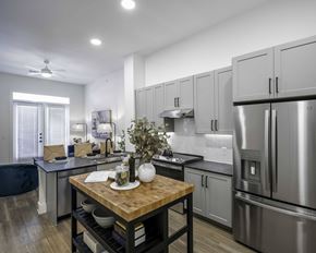 Aledo apartment for rent - kitchen with stainless steel appliance package and moveable island