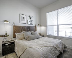 Aledo apartment for rent - a bedroom with a large bed and two windows