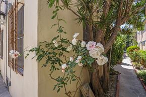 Los Angeles apartment for rent - Exterior Property of Blackburn Grove by Wiseman