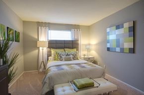 Houston apartment for rent - a comfortable bedroom with plush carpet, a window, and model furnishings