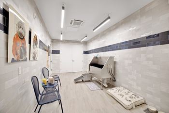 Dog wash and self-service grooming area