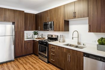 Stainless steel self-cleaning gas range
