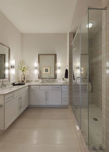 Shower with european frameless door*