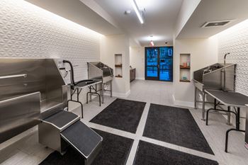 Dog wash with self-grooming area