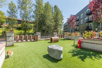 Fenced dog park with pet watering station