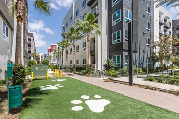 Paw spot: pet yard