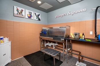 Pet-tential: pet spa with grooming station