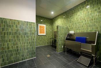 Pet spa