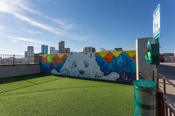 Rooftop dog park