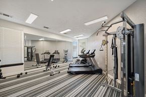 Dallas apartment for rent - Fitness Center weights at Tivoli apartments in Dallas TX