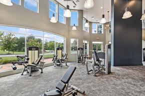 Waldorf apartment for rent - Fitness center cardio at Westerchester at the Pavillions in Waldorf MD