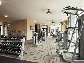 Denver apartment for rent - Fitness Center at The Douglas Apartments in Denver
